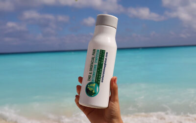 TMD & Orofacial Pain International Symposium, Cancún, México, January 17-19, 2025